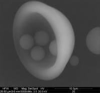 Zdjęcie przykładowe z mikroskopu elektronowego